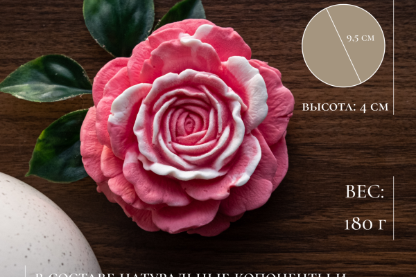 8d515005-d8ca-4173-b1c6-9e639c92dbfa